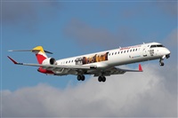 Adrin Alonso Lemes - Lanzarote Spotters. Click to see full size photo