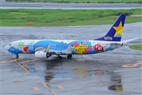 Miguel A. gueda Rguez.  (CANARY ISLANDS SPOTTING). Haz click para ampliar