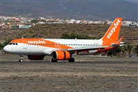 Alfonso Sols - Asociacin Canary Islands Spotting. Click to see full size photo