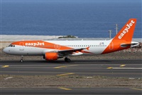 ©Alfonso Solís - Asociación Canary Islands Spotting. Click to see full size photo ©Alfonso Solís - Asociación Canary Islands Spotting. Click to see full size photo