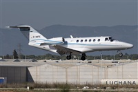 Vicente Aguil. Click to see full size photo