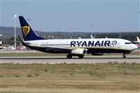 �Alfonso Sol�s - Asociaci�n Canary Islands Spotting. Click to see full size photo