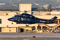 �Daniel Vergara Pineda. Click to see full size photo