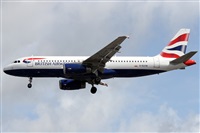 �Alfonso Sol�s - Asociaci�n Canary Islands Spotting. Click to see full size photo