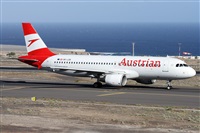 �Alfonso Sol�s - Asociaci�n Canary Islands Spotting. Click to see full size photo