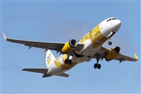 �Florencio Mart�n Meli�n - Lanzarote Spotters. Click to see full size photo