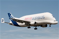 �Sergio Cambronero - Asociaci�n AIRE. Click to see full size photo