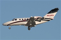 Jos Miguel Bernases - Noisy Spotters. Click to see full size photo
