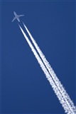 ©Javier González. Click to see full size photo ©Javier González. Click to see full size photo