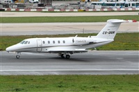 JAbreu                                                              www.portugalspotters.net. Click to see full size photo