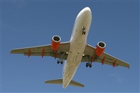 Jos Miguel Bernases - Noisy Spotters. Click to see full size photo