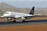 Gerardo A. Prez   Canary Islands Spotting. Click to see full size photo