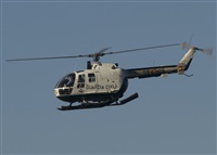 calco7. Click to see full size photo
