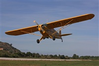 Rui Guerreiro - www.portugalspotters.org. Click to see full size photo