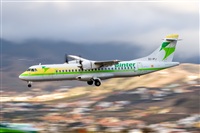 Javier de la Cruz - CANARY ISLANDS SPOTTING. Click to see full size photo