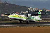 Javier de la Cruz - CANARY ISLANDS SPOTTING. Click to see full size photo