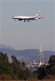 Jos Miguel Bernases - Noisy Spotters. Click to see full size photo