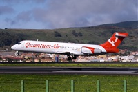 Javier de la Cruz - CANARY ISLANDS SPOTTING. Click to see full size photo