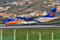 Miguel A. gueda Rguez.  (CANARY ISLANDS SPOTTING). Click to see full size photo