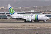 ©Alfonso Solís - Asociación Canary Islands Spotting. Click to see full size photo ©Alfonso Solís - Asociación Canary Islands Spotting. Click to see full size photo