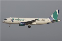 ©Alfonso Solís - Asociación Canary Islands Spotting. Click to see full size photo ©Alfonso Solís - Asociación Canary Islands Spotting. Click to see full size photo