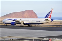 Miguel A. gueda Rguez.  (CANARY ISLANDS SPOTTING). Haz click para ampliar