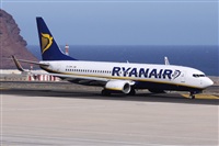 ©Alfonso Solís - Asociación Canary Islands Spotting. Click to see full size photo ©Alfonso Solís - Asociación Canary Islands Spotting. Click to see full size photo