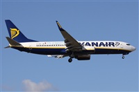 Alfonso Sols - Asociacin Canary Islands Spotting. Haz click para ampliar