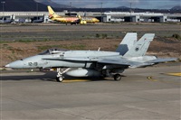 Adrin Alonso Lemes - Lanzarote Spotters. Click to see full size photo