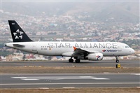 Nacho Rodriguez - Canary Islands Spotting. Click to see full size photo