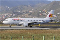 Miguel A. gueda Rguez.  (CANARY ISLANDS SPOTTING). Click to see full size photo