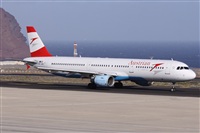 Alfonso Sols - Asociacin Canary Islands Spotting. Haz click para ampliar