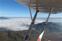 Alejandro Gorigoitia. Click to see full size photo