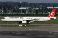 Rubn Gil - Noisy Spotters. Click to see full size photo