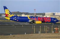 Adolfo Bento - Gran Canaria Spotters. Haz click para ampliar