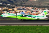 Miguel A. gueda Rguez.  (CANARY ISLANDS SPOTTING). Click to see full size photo