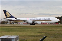 Miguel Alia - Noisy Spotters. Click to see full size photo