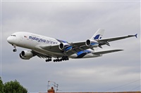 Miguel A. gueda Rguez.  (CANARY ISLANDS SPOTTING). Click to see full size photo