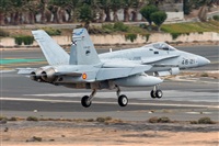 ©Adolfo Bento - Gran Canaria Spotters. Click to see full size photo ©Adolfo Bento - Gran Canaria Spotters. Click to see full size photo