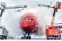 Javier de la Cruz - CANARY ISLANDS SPOTTING. Click to see full size photo