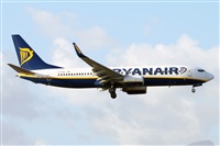 Nacho Rodriguez - Canary Islands Spotting. Haz click para ampliar