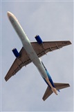 Miguel A. gueda Rguez.  (CANARY ISLANDS SPOTTING). Click to see full size photo