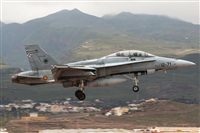 Bartolom Fernndez - Gran Canaria Spotters. Click to see full size photo