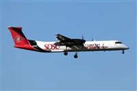 Javier de la Cruz - CANARY ISLANDS SPOTTING. Click to see full size photo