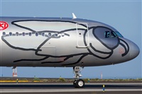 Saimon J Rodriguez   -   Canary Islands Spotting. Click to see full size photo