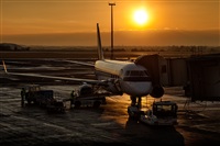 Javier de la Cruz - CANARY ISLANDS SPOTTING. Haz click para ampliar