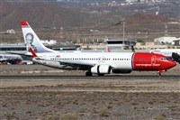 ©Alfonso Solís - Asociación Canary Islands Spotting. Click to see full size photo ©Alfonso Solís - Asociación Canary Islands Spotting. Click to see full size photo