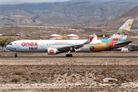 Javier de la Cruz - CANARY ISLANDS SPOTTING. Click to see full size photo