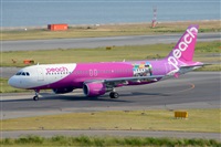 Miguel A. gueda Rguez.  (CANARY ISLANDS SPOTTING). Click to see full size photo
