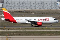 ©Alfonso Solís - Asociación Canary Islands Spotting. Click to see full size photo ©Alfonso Solís - Asociación Canary Islands Spotting. Click to see full size photo